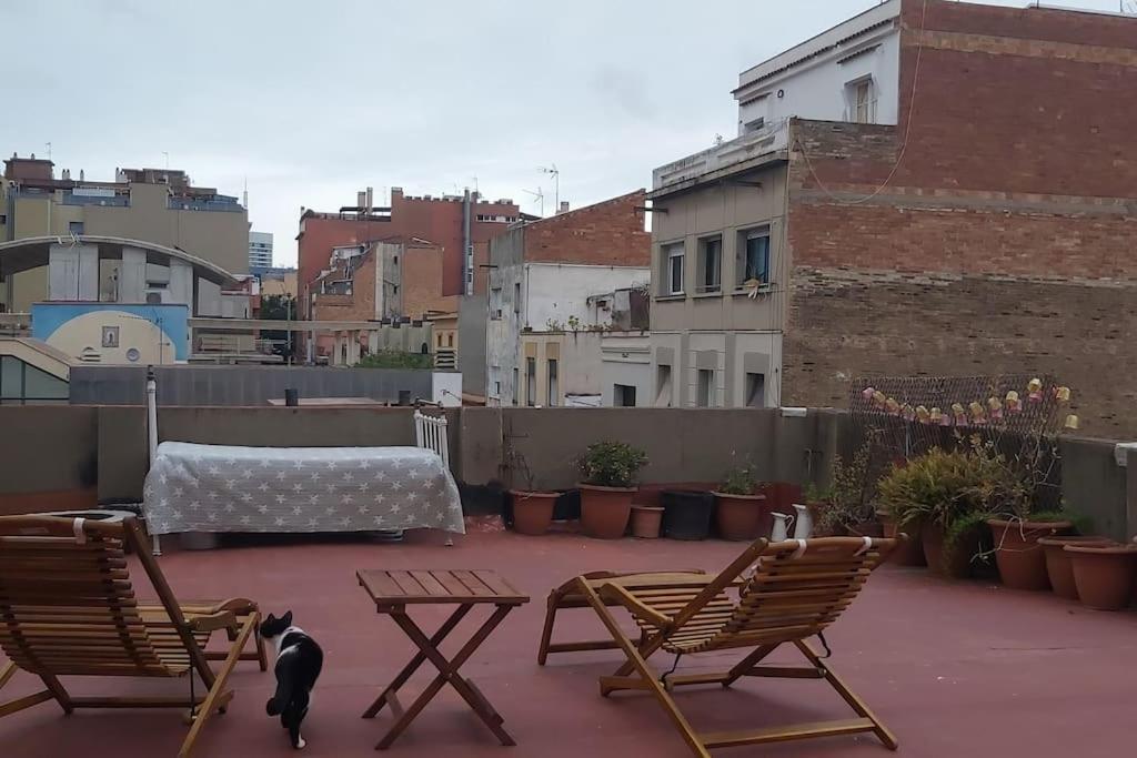 Small Room In Sants With Huge Terrace Barcelona Zewnętrze zdjęcie