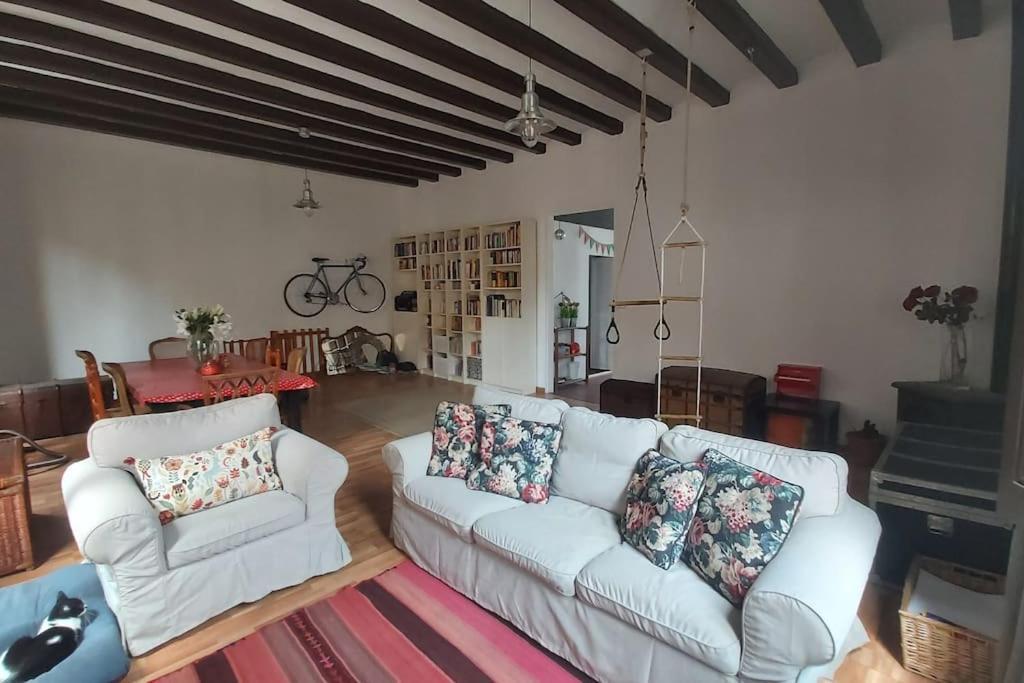 Small Room In Sants With Huge Terrace Barcelona Zewnętrze zdjęcie